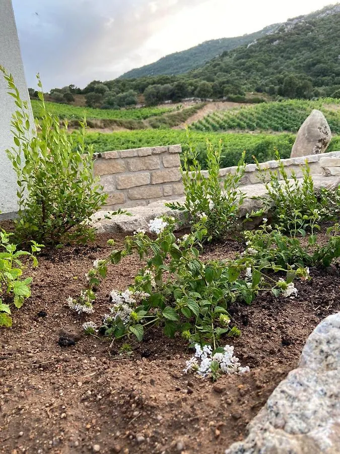 Tenuta Paltusa Calangianus Italië